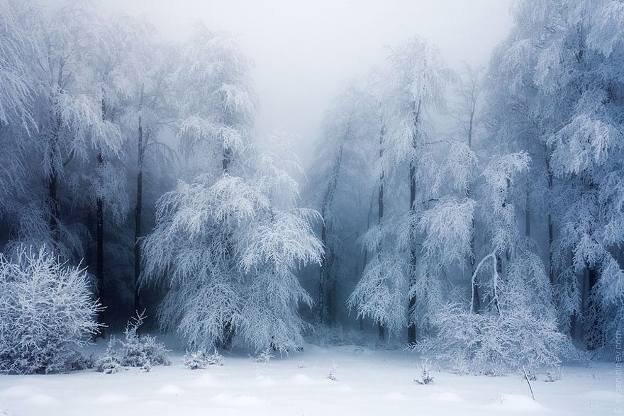 Los paisajes fantásticos en el invierno