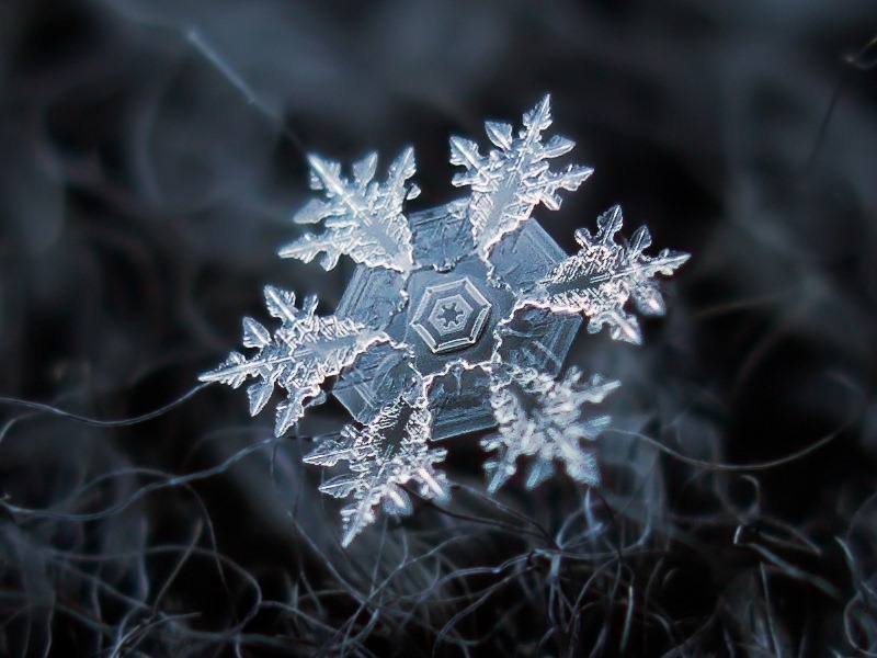 No existe ningún copo de nieve que iguale a otro4