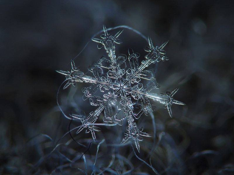 No existe ningún copo de nieve que iguale a otro13