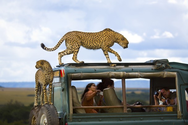 Fotografías ganadoras de ‘National Geographic’ 2013: Say Cheese