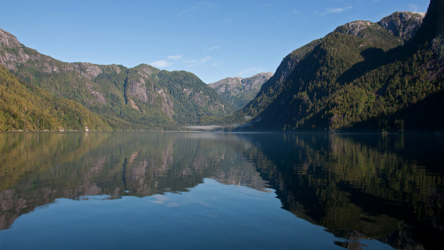 Selva Oso Grande, British Colombia, Canadá