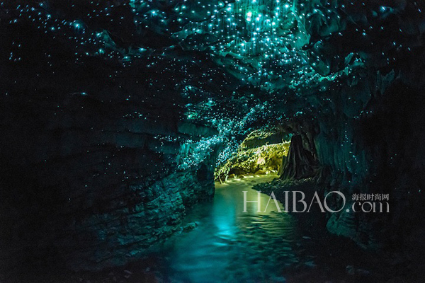 Luciérnagas iluminan cuevas en Waitomo, Nueva Zelanda1