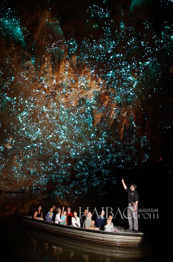 Luciérnagas iluminan cuevas en Waitomo, Nueva Zelanda2
