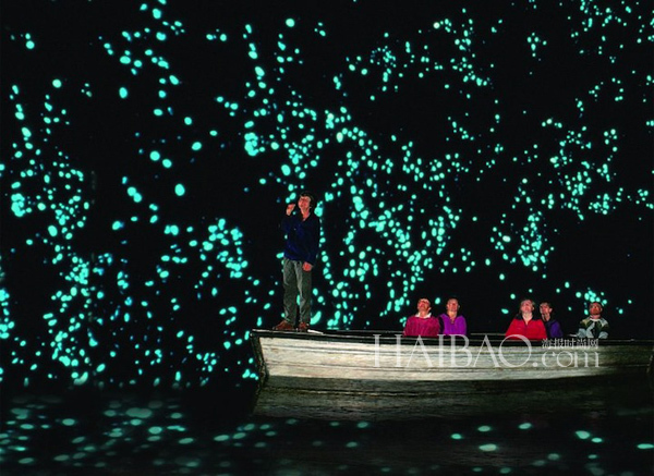 Luciérnagas iluminan cuevas en Waitomo, Nueva Zelanda5