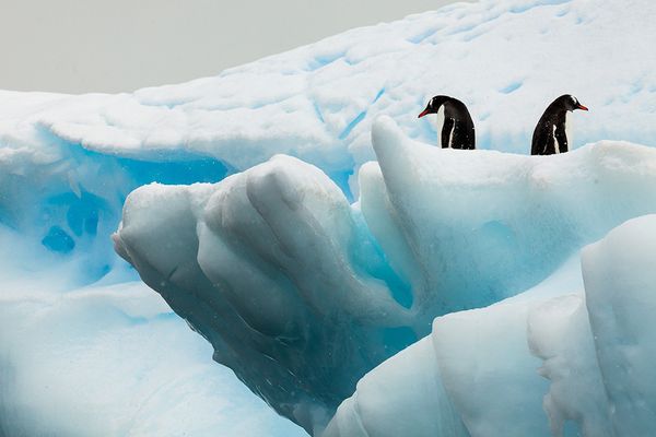 Con adorno de la nieve, el invierno se vuelve más romántico2