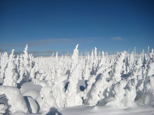 Con adorno de la nieve, el invierno se vuelve más romántico5