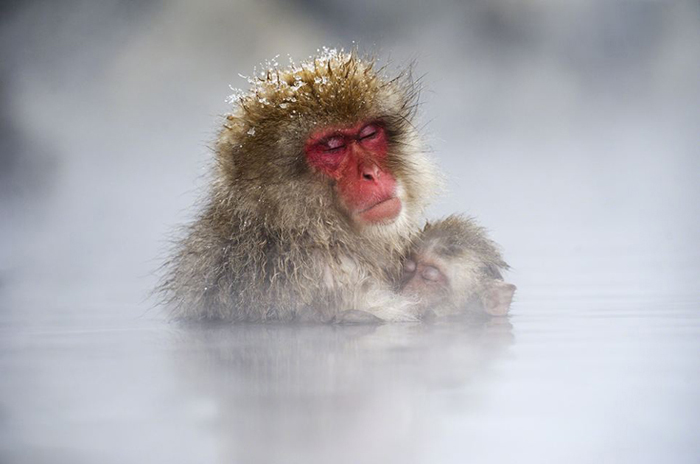 Mejores fotografías del premio Cutty Sark 2013 1