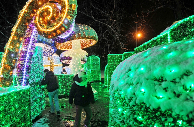 Hermosas escenas iluminadas por grandes festivales13