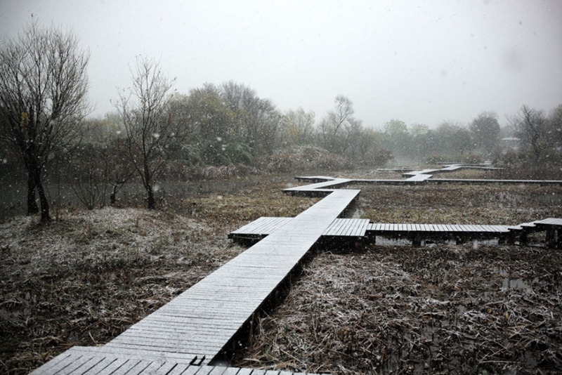 Escenas románticas de la primera nevada en la ciudad de Hangzhou6