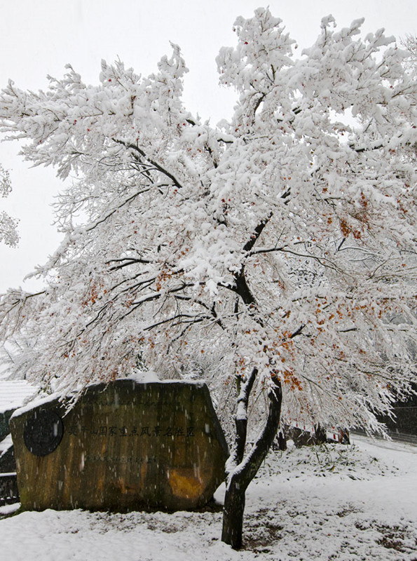 Escenas románticas de la primera nevada en la ciudad de Hangzhou8