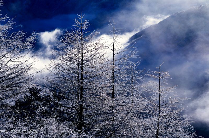 Montaña Huangshan muestra su encanto invernal en la nieve7