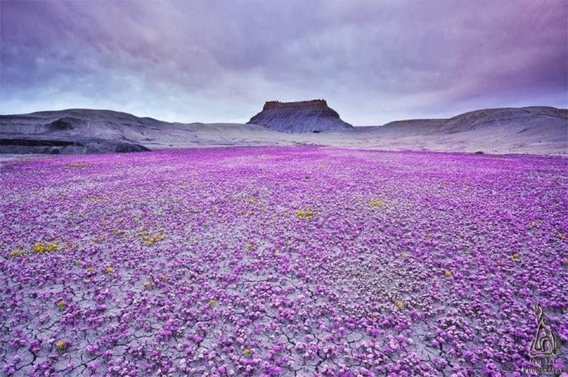 15 fotos espectaculares de la Madre Naturaleza 9