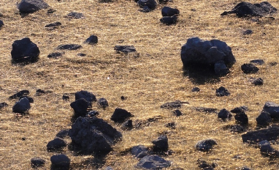 Volcán Halema'uma'u