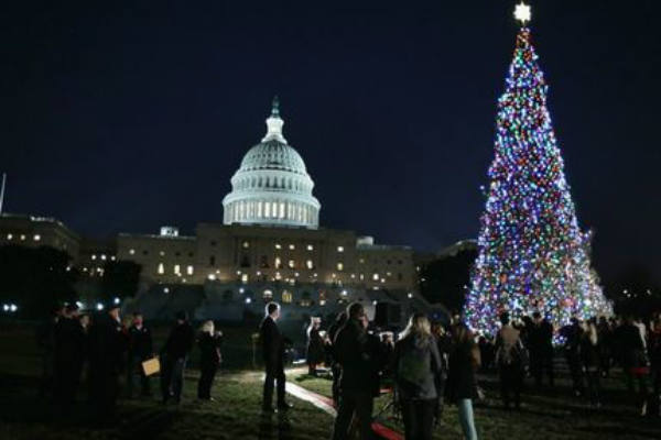 Los 10 árboles de Navidad más espectaculares