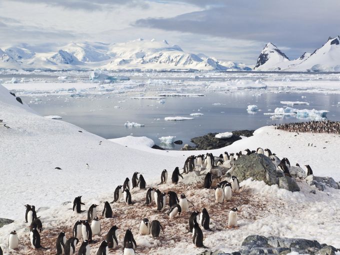 20 lugares románticos que pueden viajar en crucero