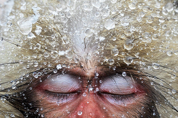 Las mejores fotos del “Travel Photographer of the Year”