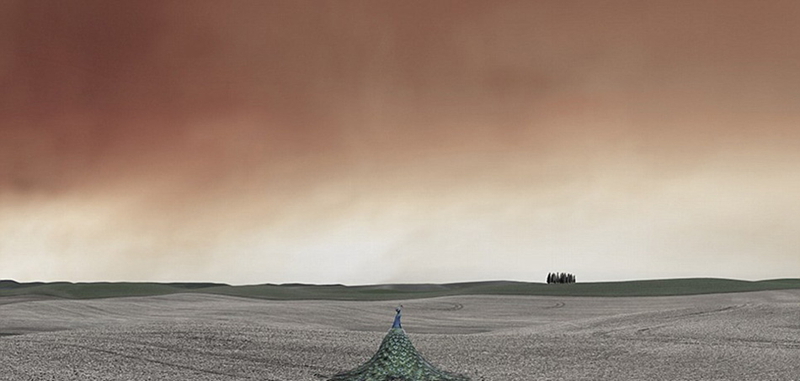 Arte de granja - fotos impresionantes del paisaje capturadas por Lisa Wood