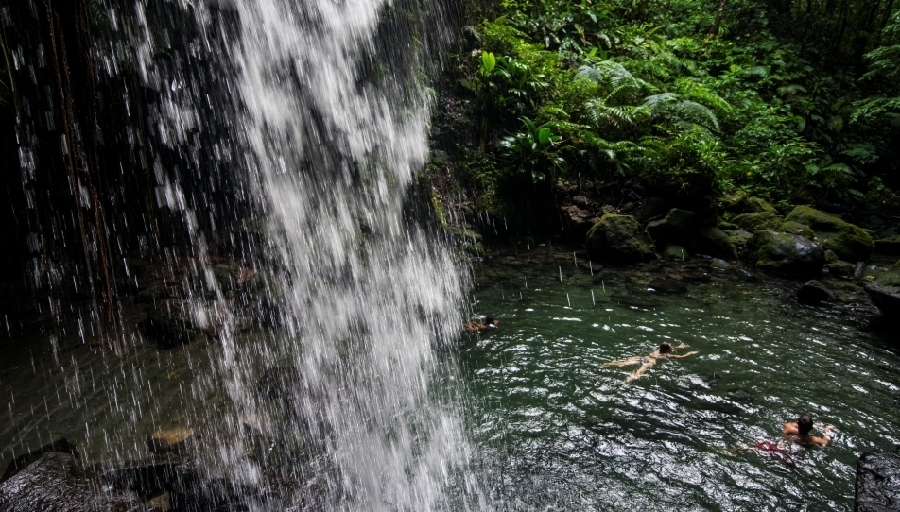 Ethical Traveler dice que Dominica está protegida por un extenso sistema de parques naturales y sus ciudadanos se enfocan en la preservación. 