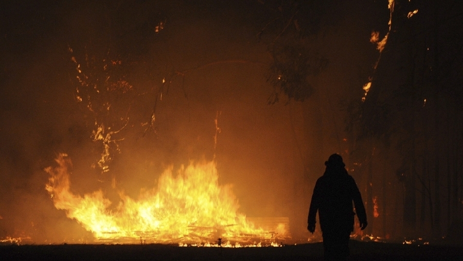 8 en enero: El sureste de Australia recibió el año con incendios forestales que arrasaron con un centenar de casas en Tasmania. 