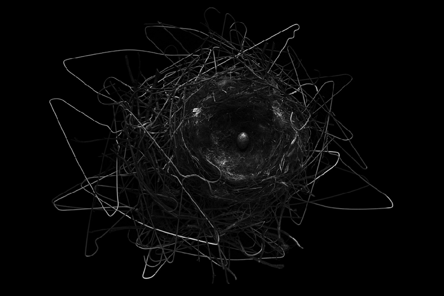 Las obras ganadoras de ‘National Geographic’ de 2013: Crows Nest