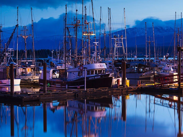 16. Isla de Vancouver, Canadá