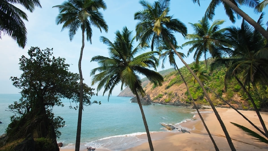Clima templado, playas, restaurantes: Goa, el estado más pequeño de India, también es uno de los centros de celebraciones más grandes. (Getty Images/Archivo)