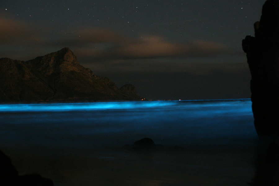 Glowing Waves