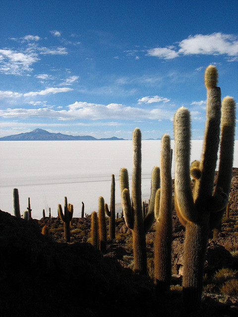 TOP 10 paisajes del Altiplano de los Andes Centrales que cuesta creer que existen 【Parte I】 2