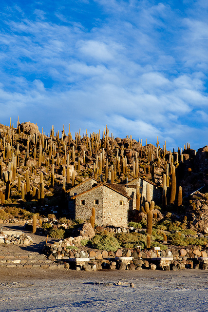 TOP 10 paisajes del Altiplano de los Andes Centrales que cuesta creer que existen 【Parte I】 5