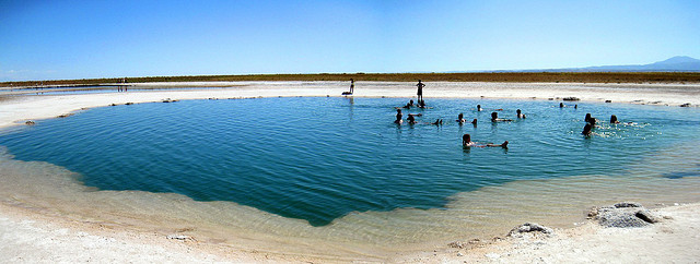 Laguna Cejar, Chile