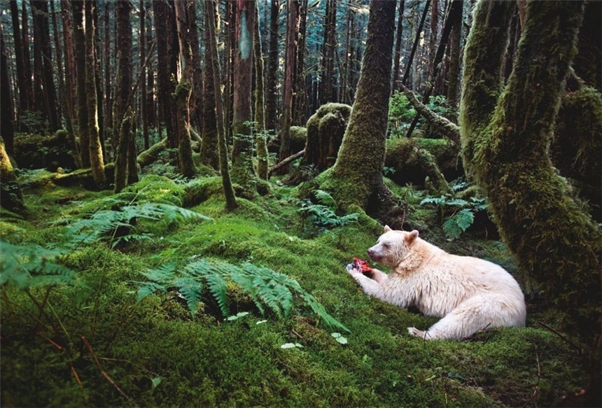 125 Aniversario en ‘National Geographic’: las fotos más impactantes