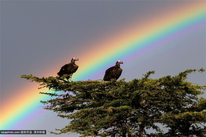 Paisajes más hermosos de arco iris