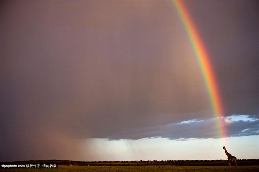 Paisajes más hermosos de arco iris