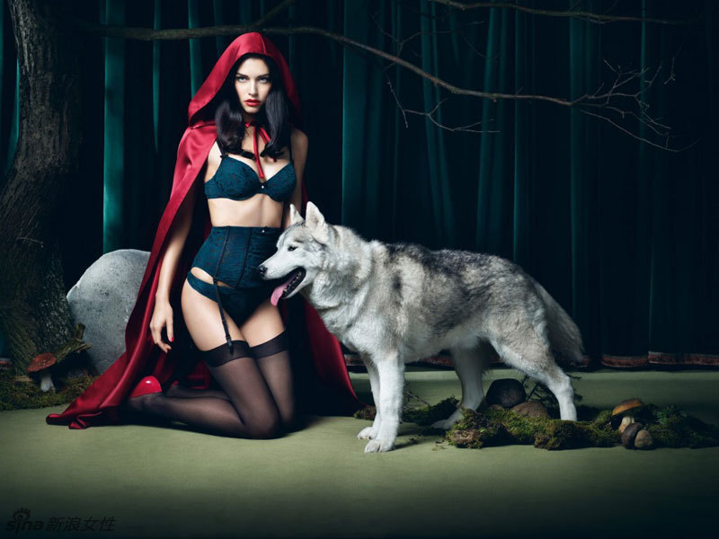 Sexy Wolf Costume