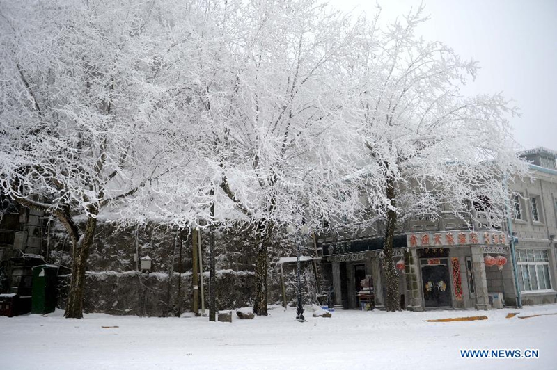 Nieve crea hermosos paisajes nevados en la montaña Lushan al este de China