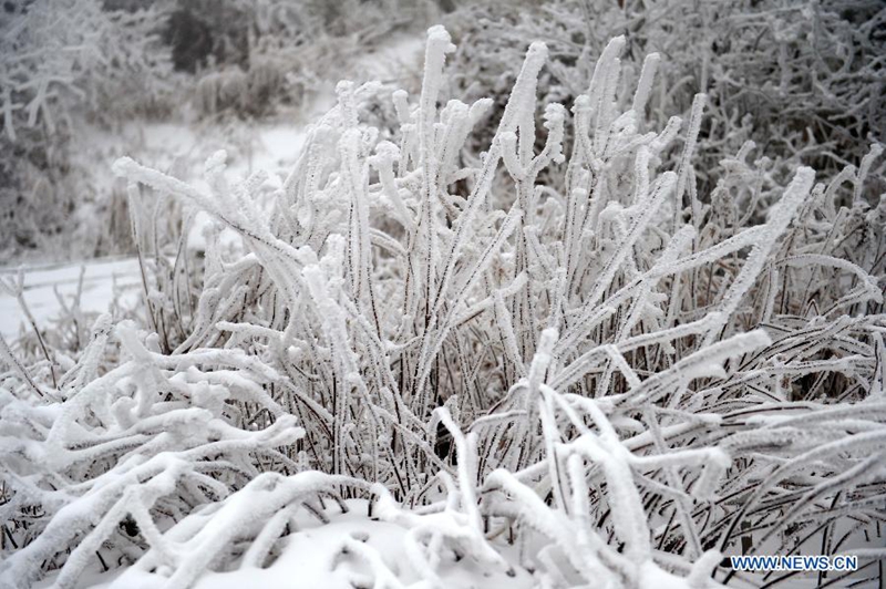 Nieve crea hermosos paisajes nevados en la montaña Lushan al este de China