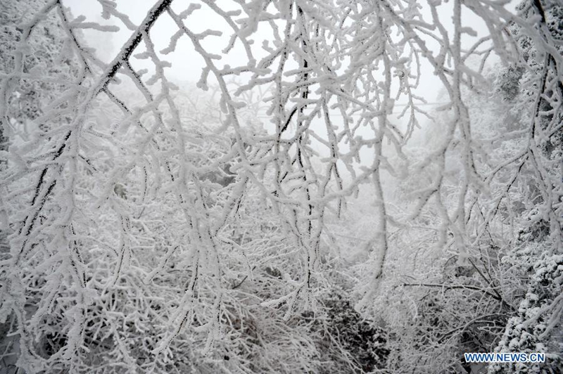 Nieve crea hermosos paisajes nevados en la montaña Lushan al este de China