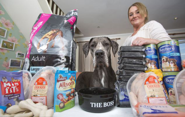 Freddy, el perro más grande de Gran Bretaña y sigue creciendo