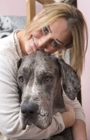 Freddy, el perro más grande de Gran Bretaña y sigue creciendo