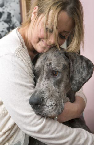 Freddy, el perro más grande de Gran Bretaña y sigue creciendo