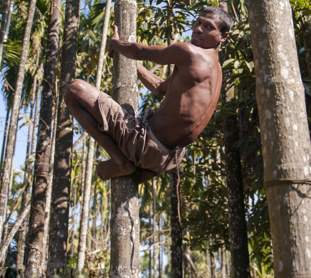 Hombre con 'cola' de 37 centímetros es adorado como un dios mono en La India
