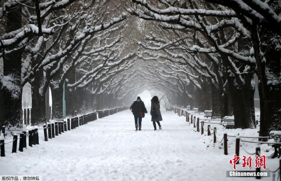 La “peor tormenta de nieve en décadas” golpea a Japón