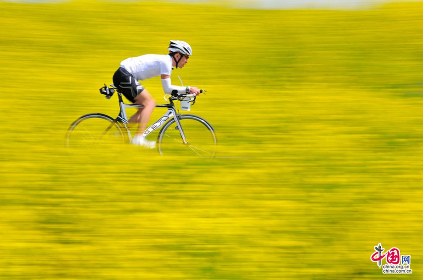 La primavera de Luoping, mar de flores de canola en China11