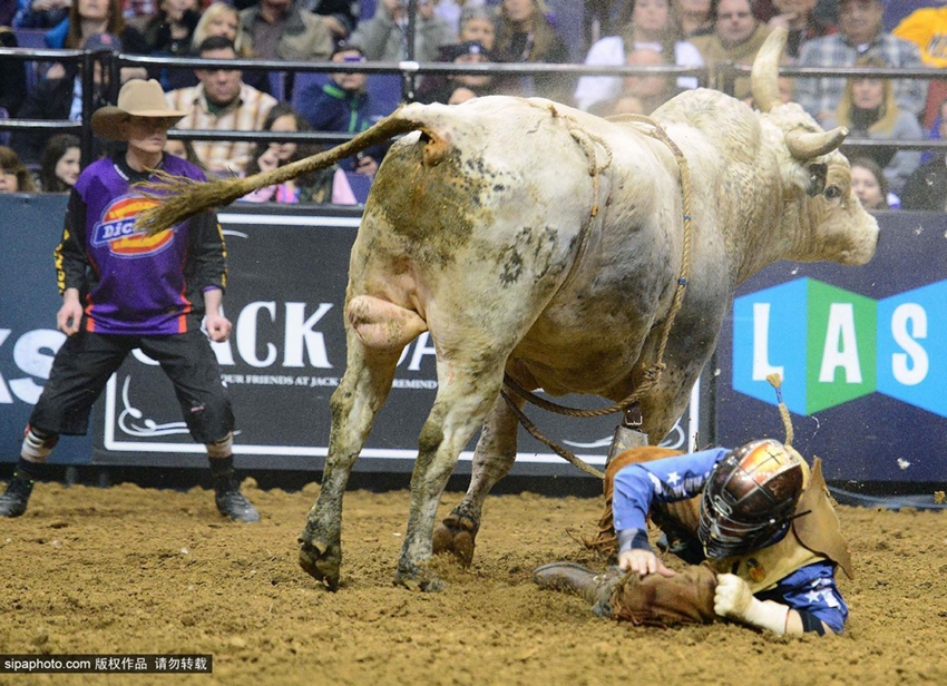 Monta de toros extrema: los profesionales también fracasan