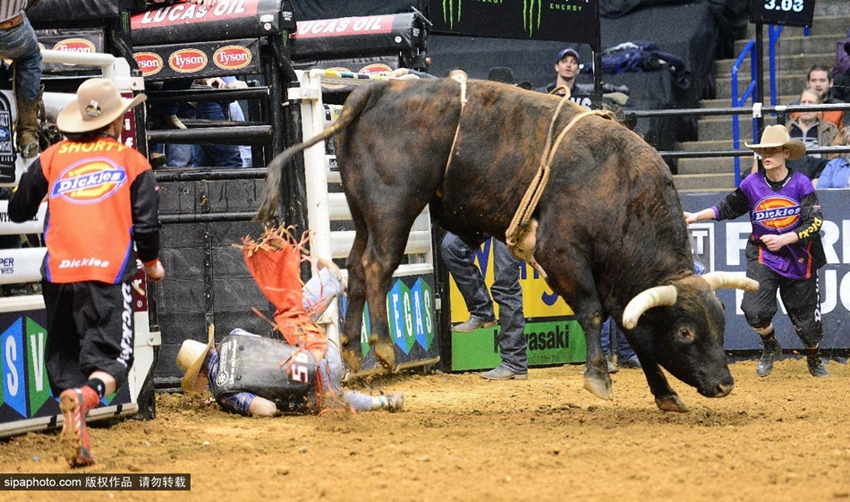 Monta de toros extrema: los profesionales también fracasan2