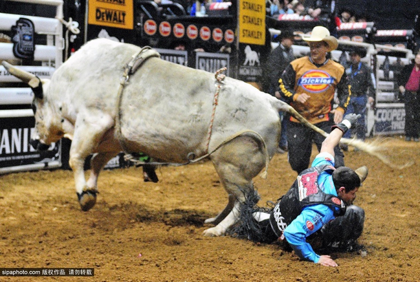 Monta de toros extrema: los profesionales también fracasan3