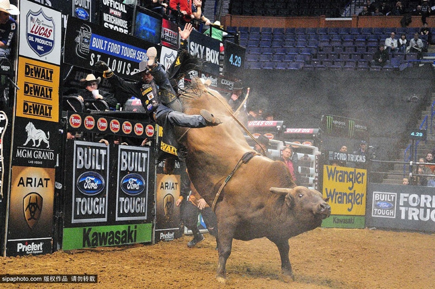 Monta de toros extrema: los profesionales también fracasan4