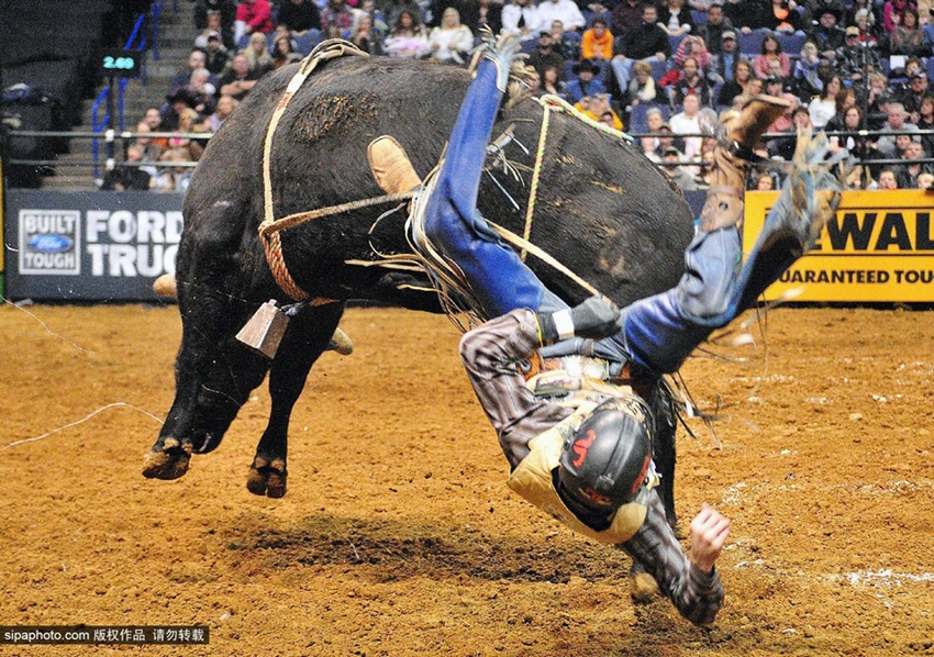 Monta de toros extrema: los profesionales también fracasan5