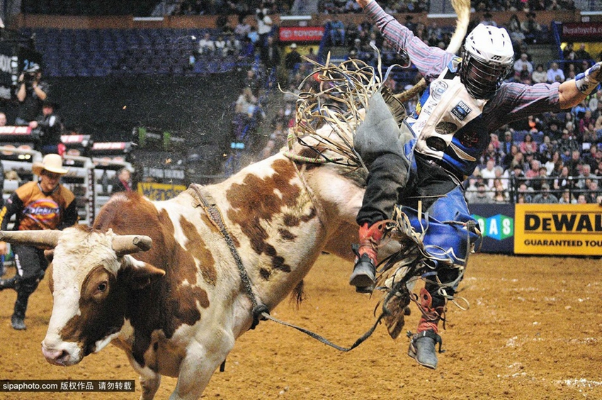 Monta de toros extrema: los profesionales también fracasan6