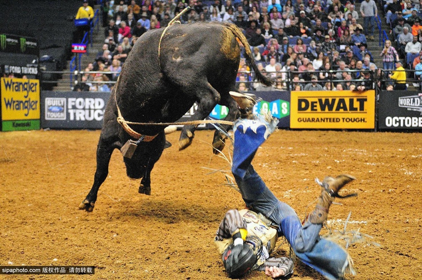 Monta de toros extrema: los profesionales también fracasan7